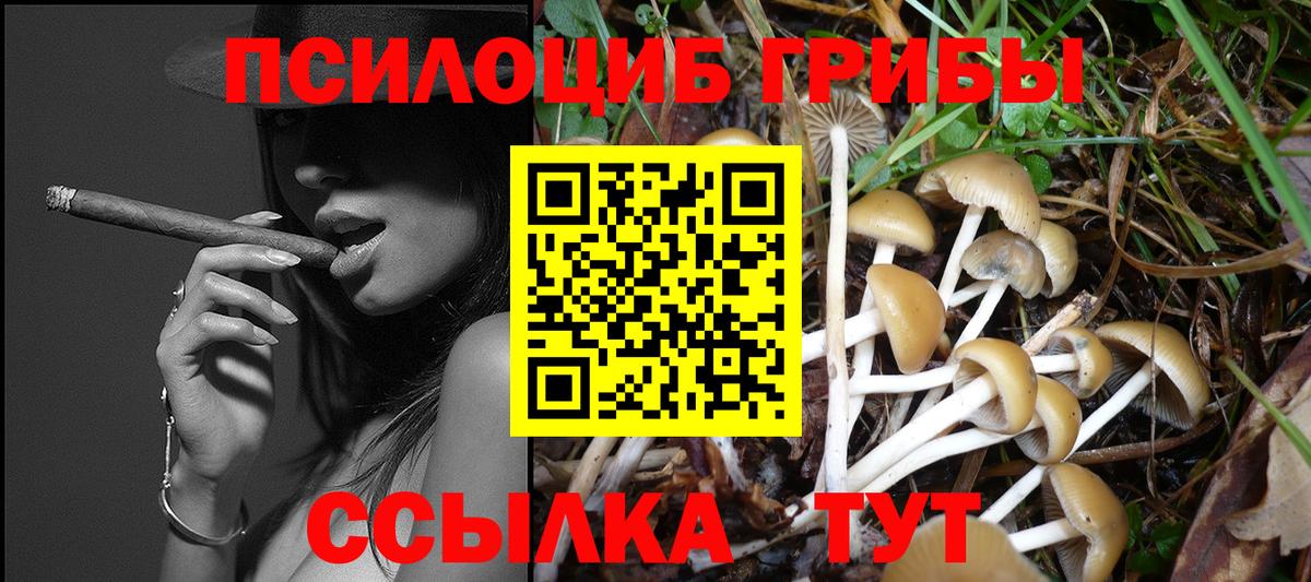 Псилоцибиновые грибы прущие грибы Ступино