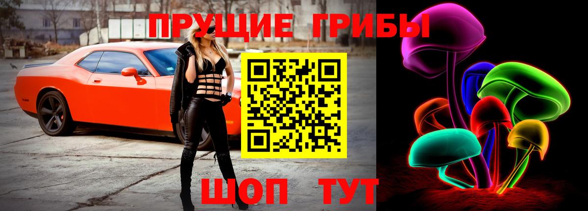 Ступино  Псилоцибиновые грибы прущие грибы  Вход с VPN  Псилоцибиновые грибы MAGIC MUSHROOMS 